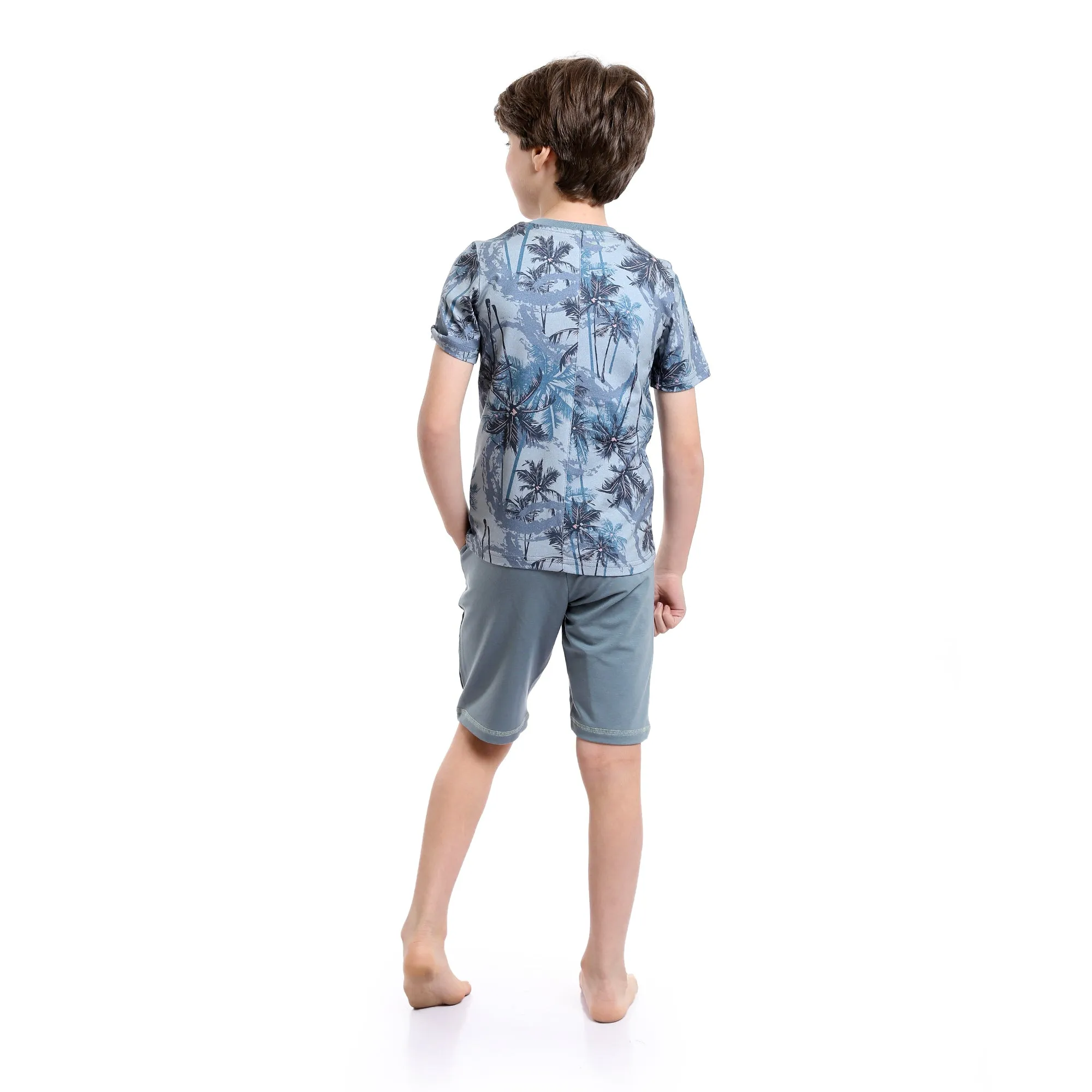 Boys Palm Tree Tee & Shorts Pajama Set - Dusty Blue & Grey